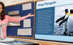 Document Camera