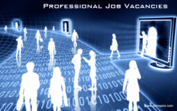 Professional Job Vacancies