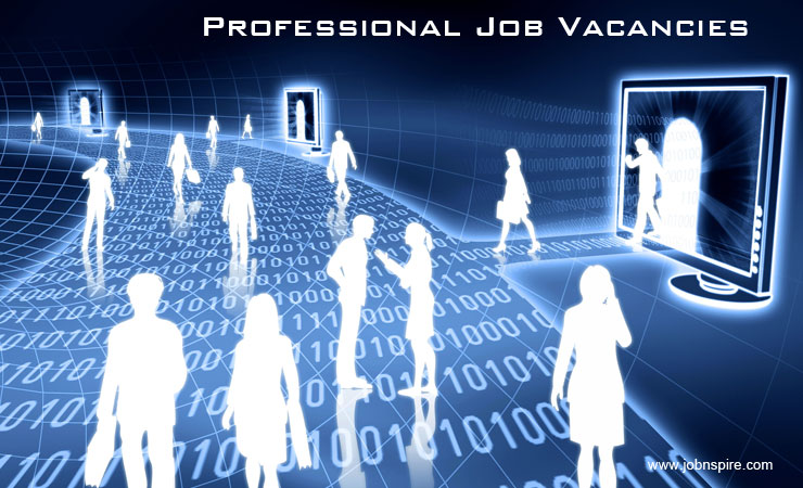 Irish Recovery leads to Professional Job Vacancies